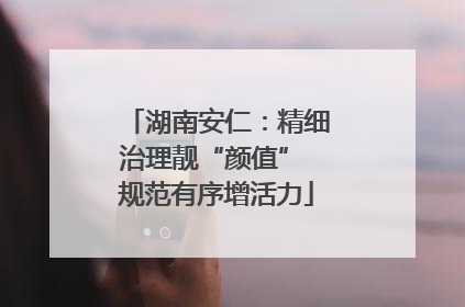 湖南安仁：精细治理靓“颜值” 规范有序增活力