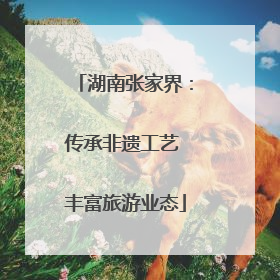 湖南张家界：传承非遗工艺 丰富旅游业态