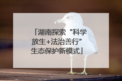 湖南探索“科学放生+法治善行”生态保护新模式
