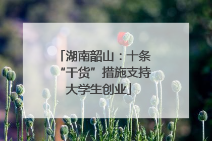 湖南韶山：十条“干货”措施支持大学生创业