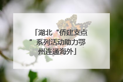 湖北“侨建支点”系列活动助力鄂州连通海外