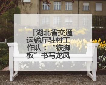 湖北省交通运输厅驻村工作队：“铁脚板”书写龙凤村幸福答卷