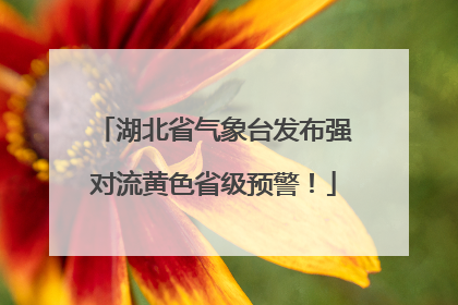 湖北省气象台发布强对流黄色省级预警！