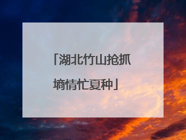 湖北竹山抢抓墒情忙夏种