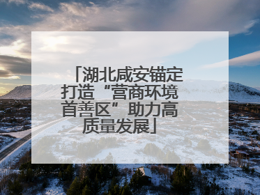 湖北咸安锚定打造“营商环境首善区”助力高质量发展