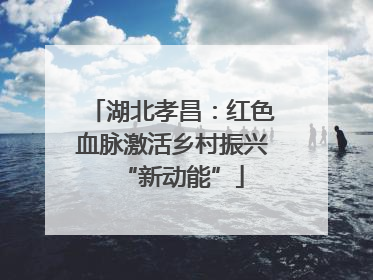 湖北孝昌：红色血脉激活乡村振兴“新动能”