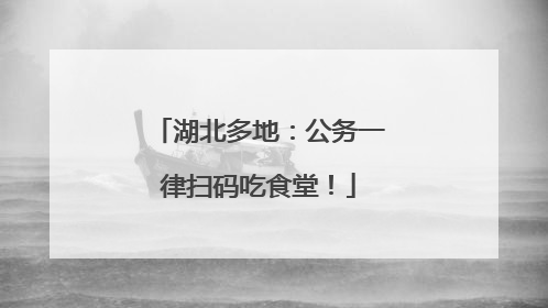 湖北多地：公务一律扫码吃食堂！
