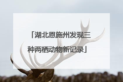 湖北恩施州发现三种两栖动物新记录