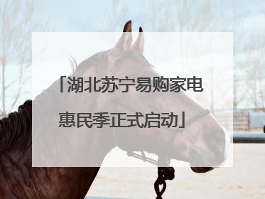 湖北苏宁易购家电惠民季正式启动