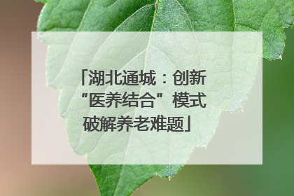 湖北通城：创新 “医养结合”模式 破解养老难题
