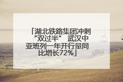 湖北铁路集团冲刺“双过半” 武汉中亚班列一年开行量同比增长72%