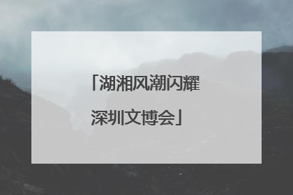 湖湘风潮闪耀深圳文博会