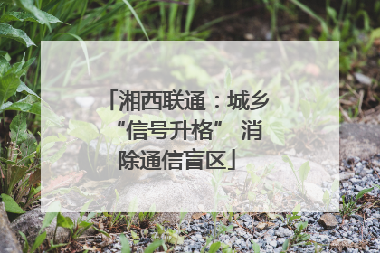 湘西联通：城乡“信号升格” 消除通信盲区