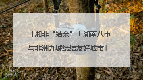 湘非“结亲”！湖南八市与非洲九城缔结友好城市