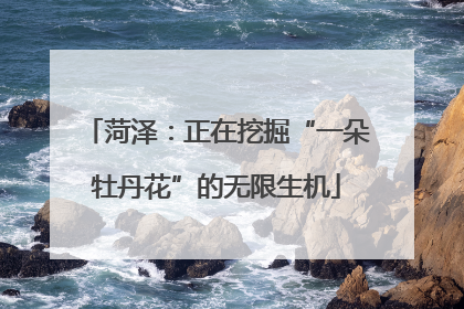 菏泽：正在挖掘“一朵牡丹花”的无限生机