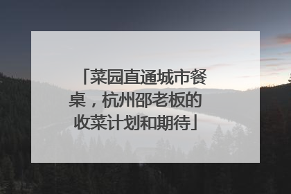 菜园直通城市餐桌，杭州邵老板的收菜计划和期待