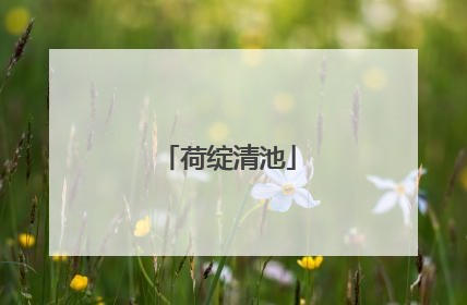 荷绽清池