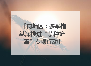 荷塘区：多举措纵深推进“禁种铲毒”专项行动