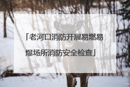 老河口消防开展易燃易爆场所消防安全检查