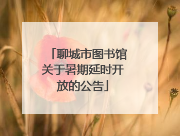 聊城市图书馆关于暑期延时开放的公告