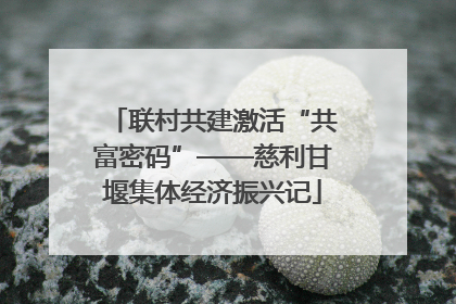 联村共建激活“共富密码”——慈利甘堰集体经济振兴记