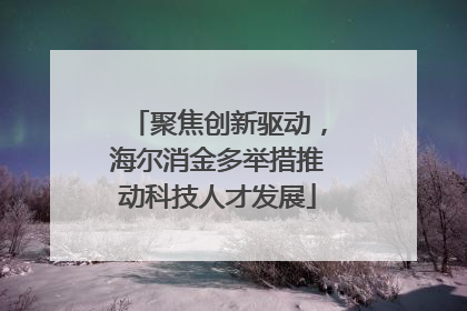 聚焦创新驱动，海尔消金多举措推动科技人才发展
