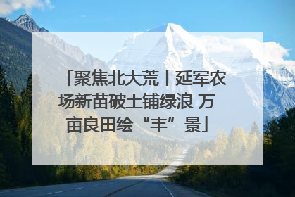 聚焦北大荒丨延军农场新苗破土铺绿浪 万亩良田绘“丰”景