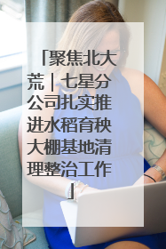 聚焦北大荒｜七星分公司扎实推进水稻育秧大棚基地清理整治工作