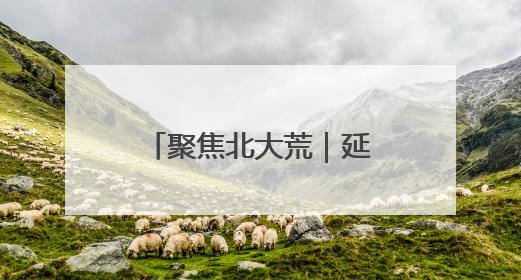 聚焦北大荒｜延军农场：飞防出击 “一喷多效”