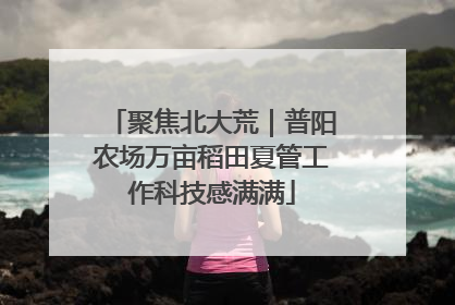 聚焦北大荒｜普阳农场万亩稻田夏管工作科技感满满
