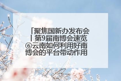 聚焦国新办发布会丨第9届南博会速览⑥云南如何利用好南博会的平台带动作用，深化与南亚国家的交流与合作？