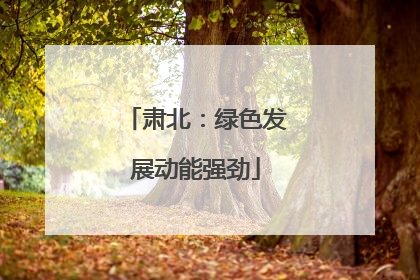 肃北：绿色发展动能强劲
