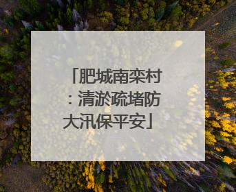 肥城南栾村：清淤疏堵防大汛保平安