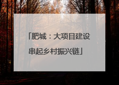 肥城：大项目建设串起乡村振兴链