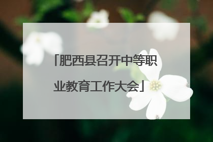 肥西县召开中等职业教育工作大会