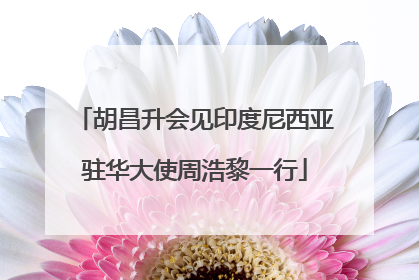 胡昌升会见印度尼西亚驻华大使周浩黎一行