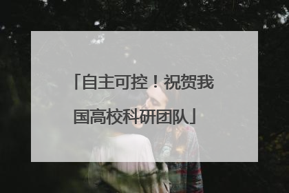 自主可控！祝贺我国高校科研团队