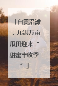 自贡沿滩：九洪万亩瓜田迎来“甜蜜丰收季”