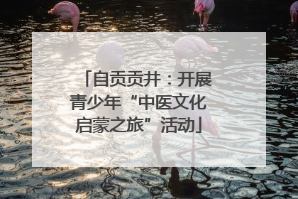 自贡贡井：开展青少年“中医文化启蒙之旅”活动