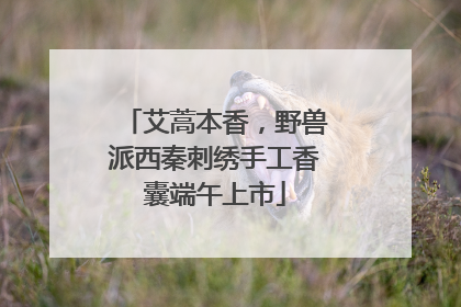 艾蒿本香，野兽派西秦刺绣手工香囊端午上市