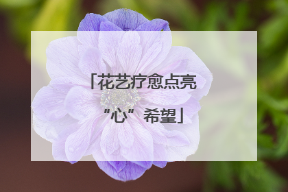 花艺疗愈点亮“心”希望