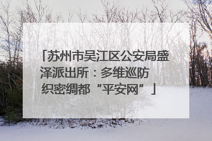 苏州市吴江区公安局盛泽派出所：多维巡防  织密绸都“平安网”
