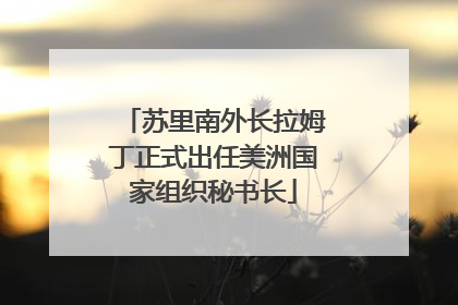 苏里南外长拉姆丁正式出任美洲国家组织秘书长