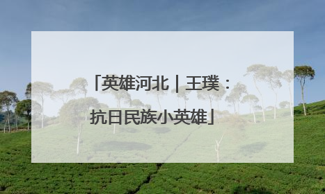 英雄河北｜王璞：抗日民族小英雄