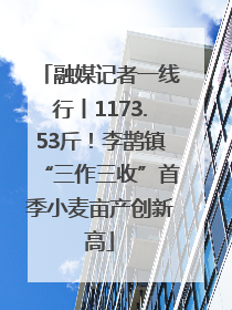 融媒记者一线行丨1173.53斤！李鹊镇“三作三收”首季小麦亩产创新高