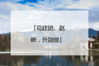葛建团、赵峰，升副部