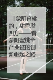 蒙阴育桃韵，甜香溢四方——看蒙阴蜜桃全产业链的创新崛起之路