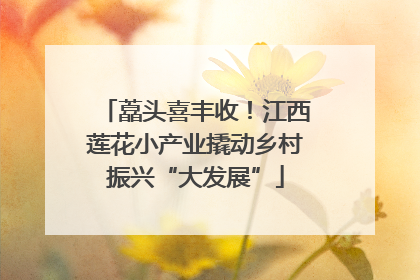 藠头喜丰收！江西莲花小产业撬动乡村振兴“大发展”