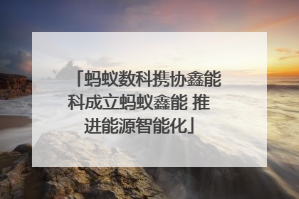 蚂蚁数科携协鑫能科成立蚂蚁鑫能 推进能源智能化