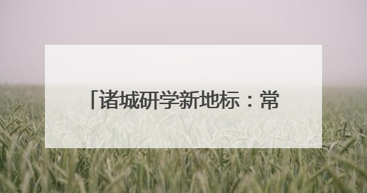 诸城研学新地标：常山脚下非遗一条街